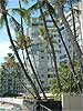 Hawaii Condos - Diamond Head Apartments